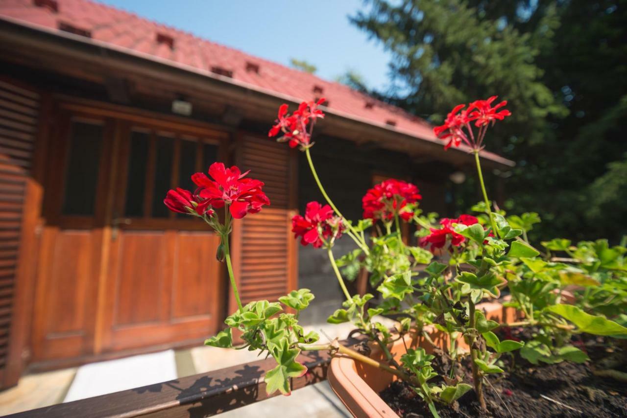 Cabin In The Woods Vukelic Stubicke Toplice 외부 사진